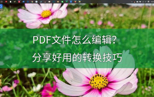 PDF文件怎么编辑？分享PDF转Word的好方法