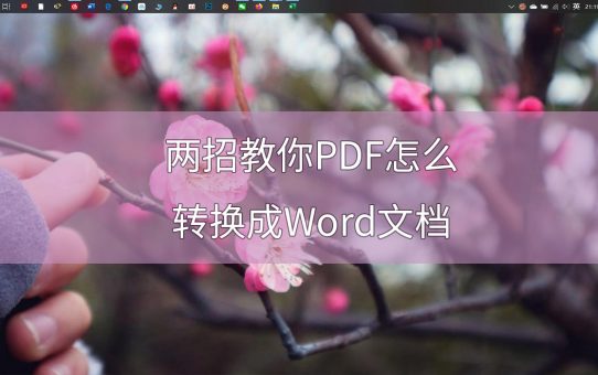 两招教你PDF怎么转换成Word文档