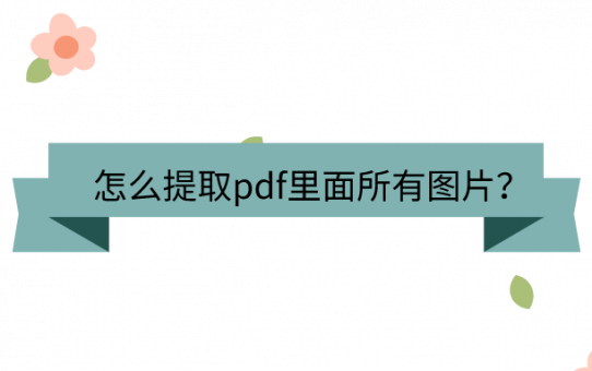 怎么提取pdf里面所有图片？没人不知道这招！