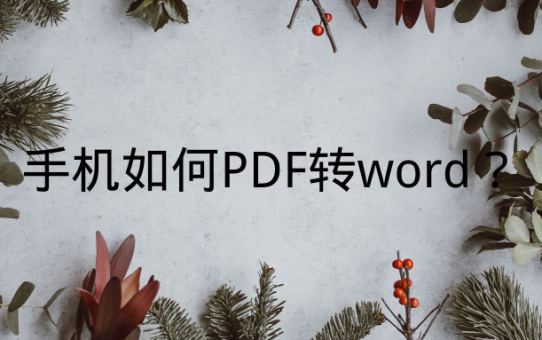 手机如何PDF转word？这个方法你不该错过！