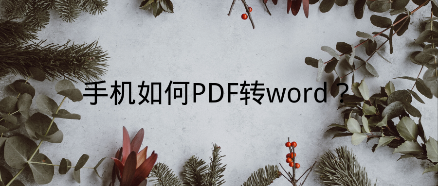 pdftoword