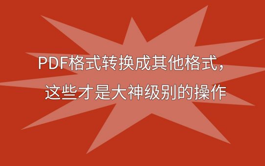 PDF格式转换成其他格式，这些才是大神级别的操作