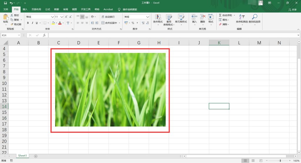 Excel如何插入图片6