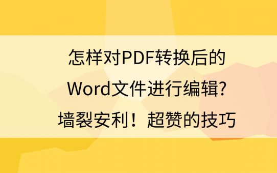 怎样对PDF转换后的Word文件进行编辑?墙裂安利，超赞的技巧！