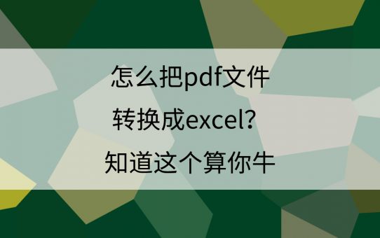 怎么把PDF文件转换成Excel？知道这个算你牛