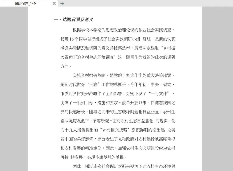调研报告-PDF格式