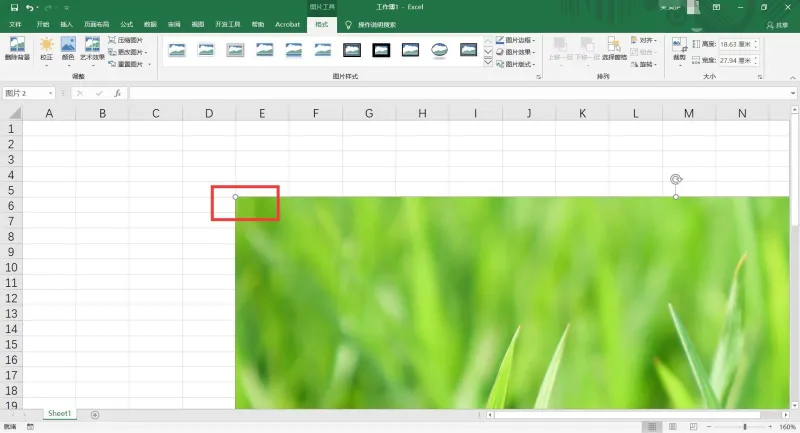 Excel如何插入图片5