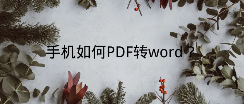 手机如何PDF转word？这个方法你不该错过！