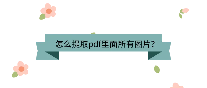 怎么提取pdf里面所有图片？没人不知道这招！