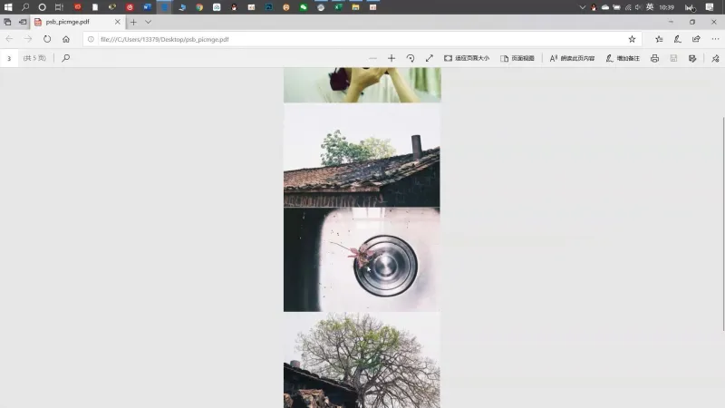 PDF转换成图片1