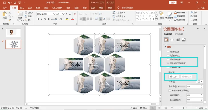 ppt